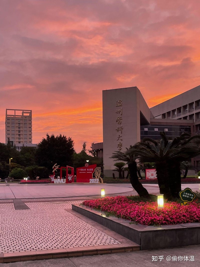 温州大学的专业选择丰富多样，涵盖了理、工、农、医等多个领域。今天我们就来深度剖析一下其中的热门专业——机械工程。